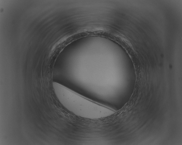 X0000074220920200608250759