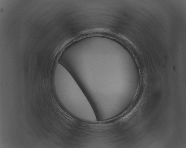 X0000074220921200608250759