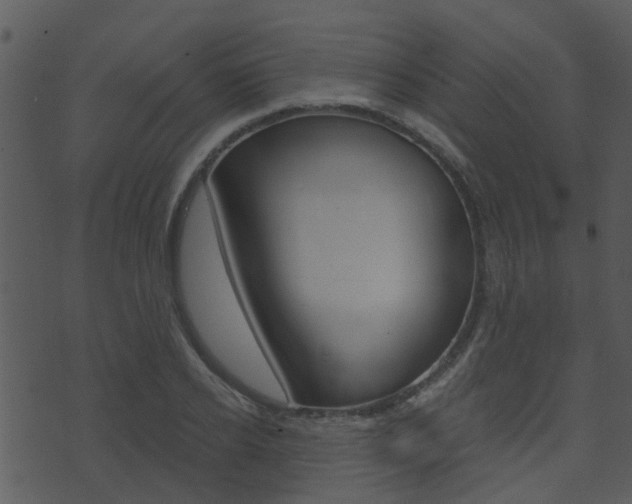 X0000074220934200608250759