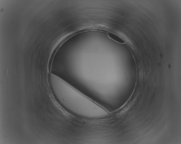 X0000074220940200608250800