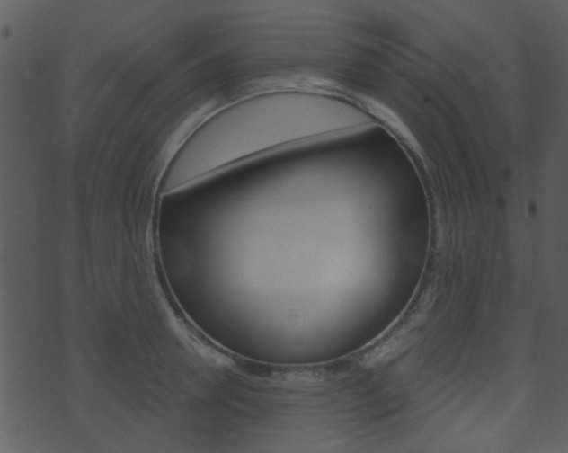 X0000074220946200608250800