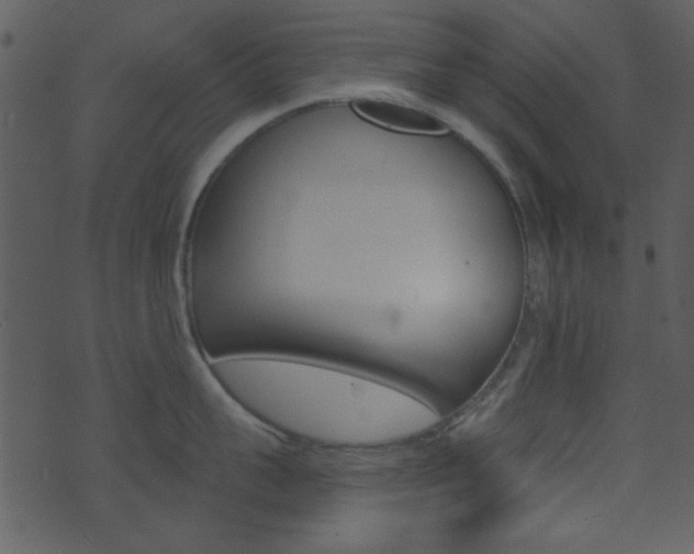 X0000074220959200608250800