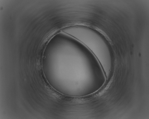 X0000074220977200608250759
