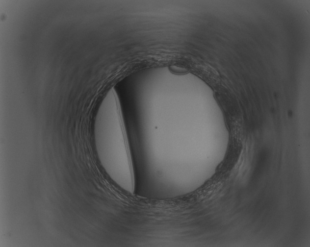 X0000074221009200608250758