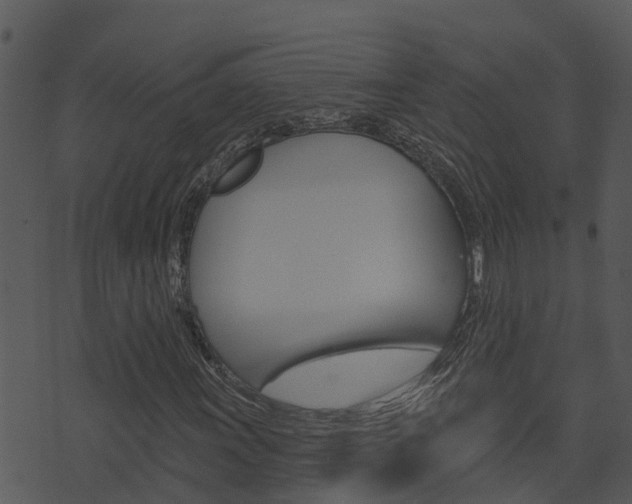 X0000074221011200608250758