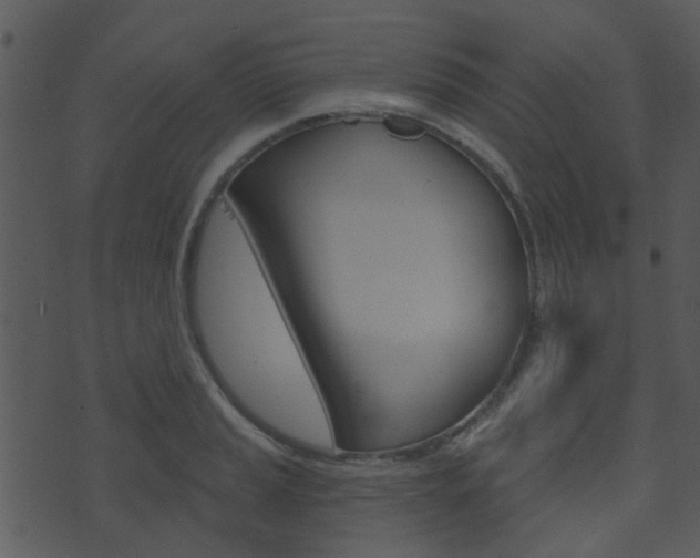 X0000074221037200608250758