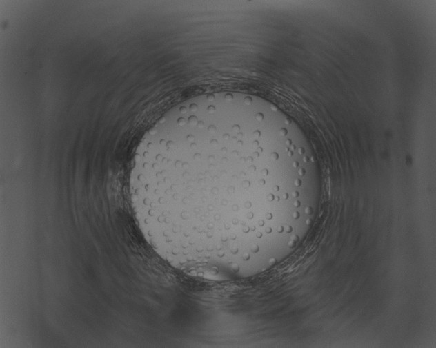 X0000074221059200608250757