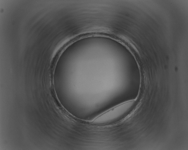 X0000074221069200608250757