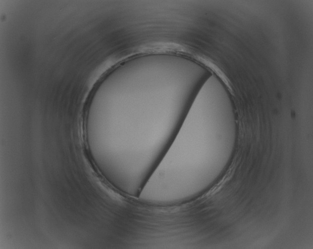 X0000074221083200608250757