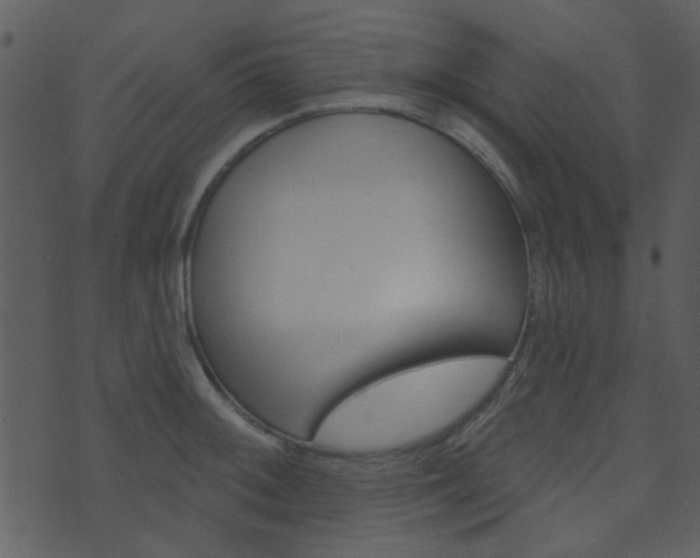 X0000074221092200608250757