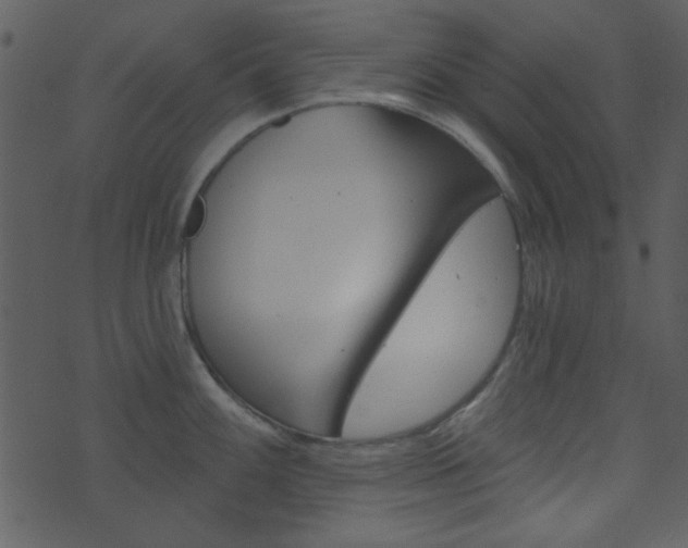 X0000074221100200608250757