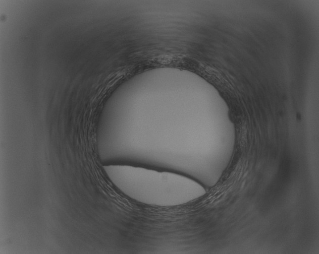 X0000074221105200608250756