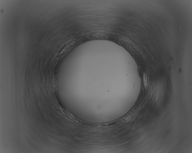 X0000074221107200608250756
