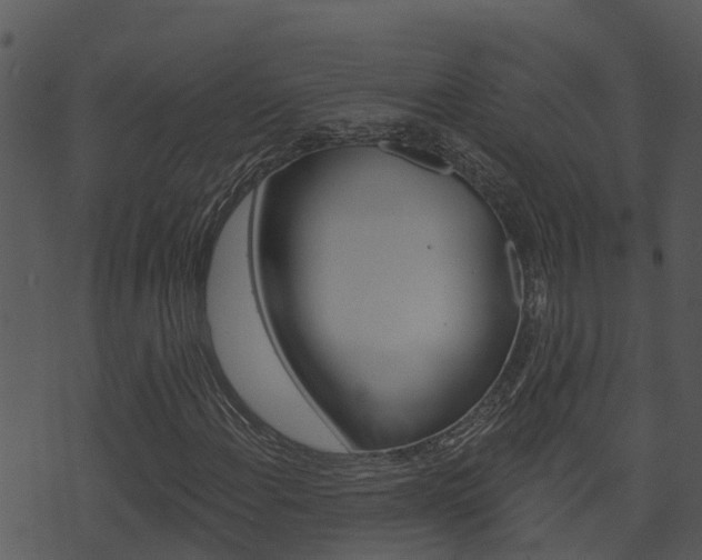 X0000074221108200608250756