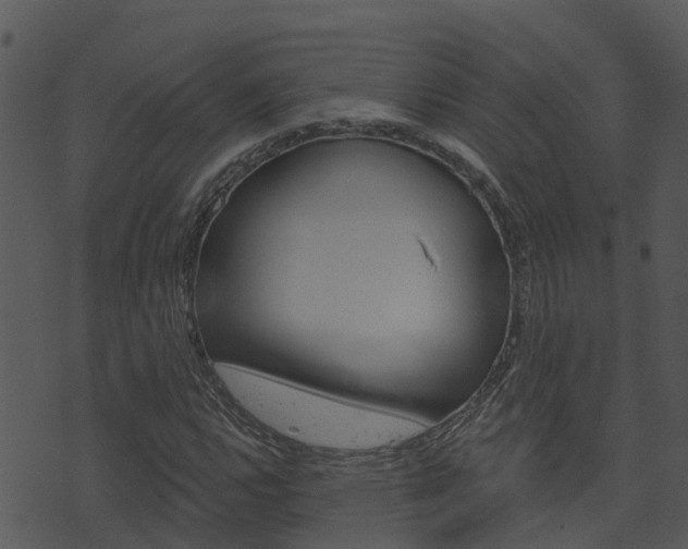X0000074221112200608250756