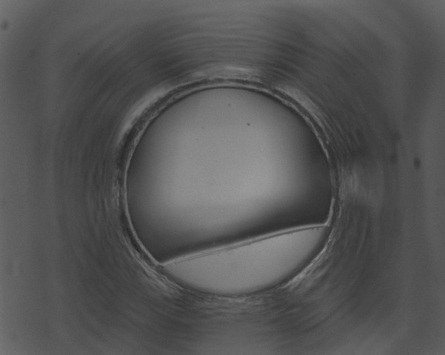 X0000074221115200608250756