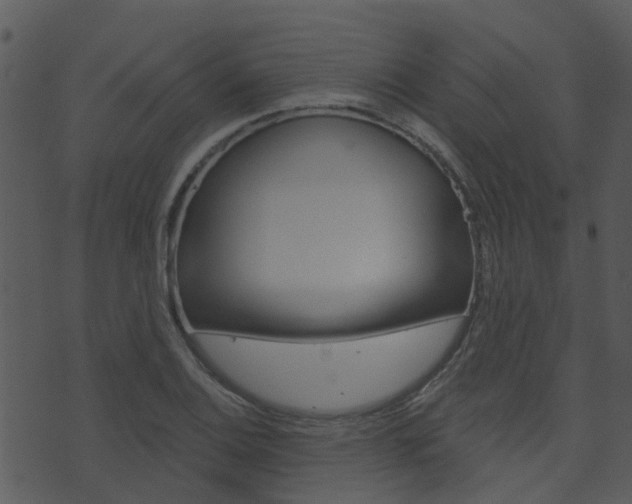 X0000074221124200608250756