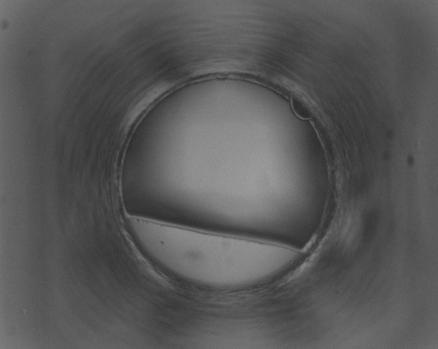 X0000074221129200608250756