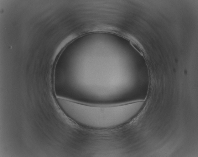 X0000074221138200608250756