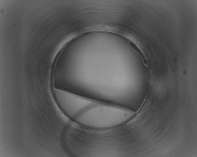 X0000074221139200608250756