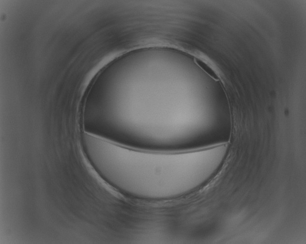 X0000074221142200608250756