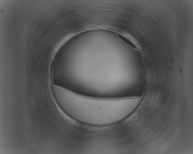 X0000074221143200608250756