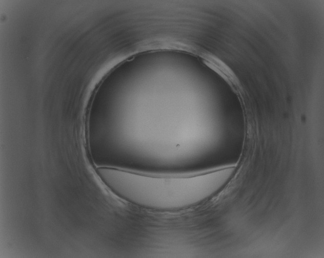 X0000074221144200608250757