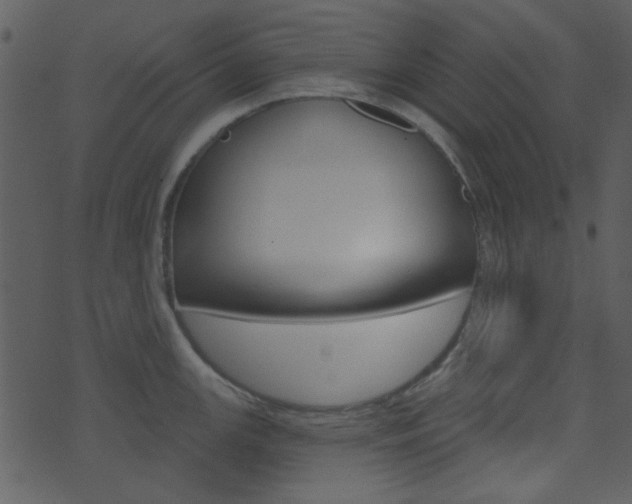 X0000074221147200608250757