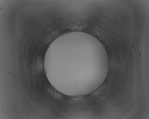 X0000074221154200608250756