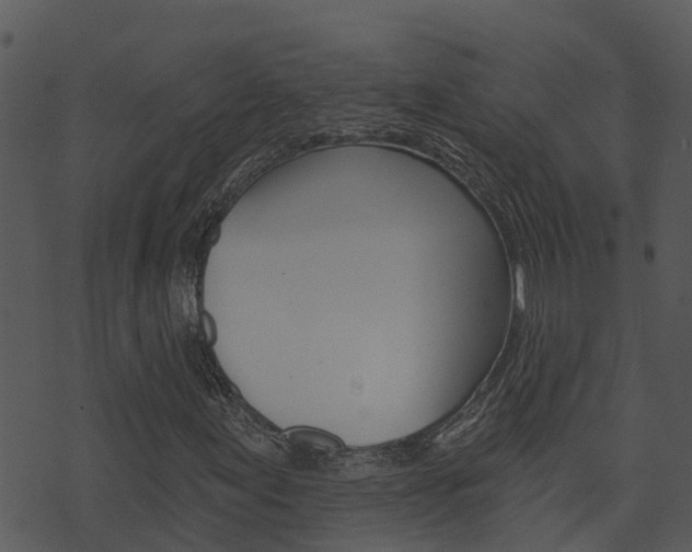 X0000074221155200608250756
