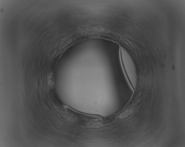 X0000074221156200608250756