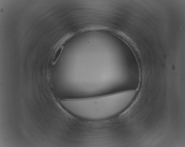 X0000074221185200608250755