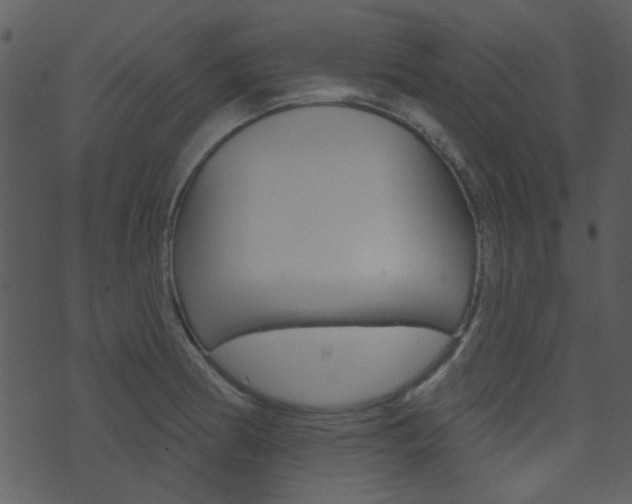 X0000074221186200608250755