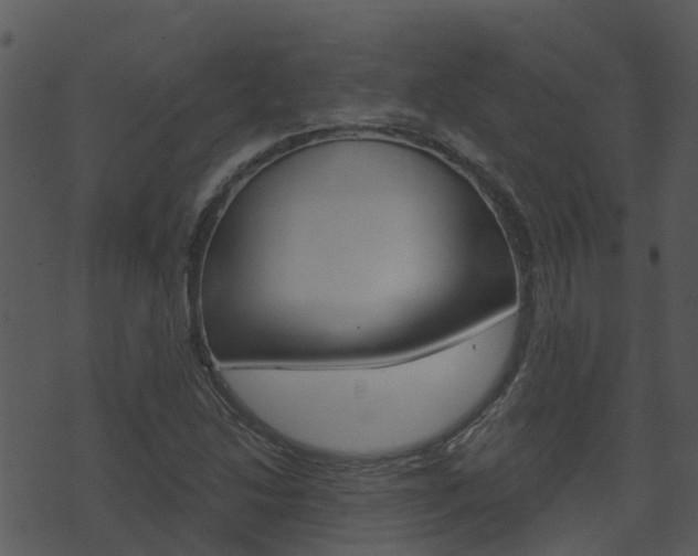 X0000074221214200608250755