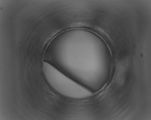 X0000074221217200608250755
