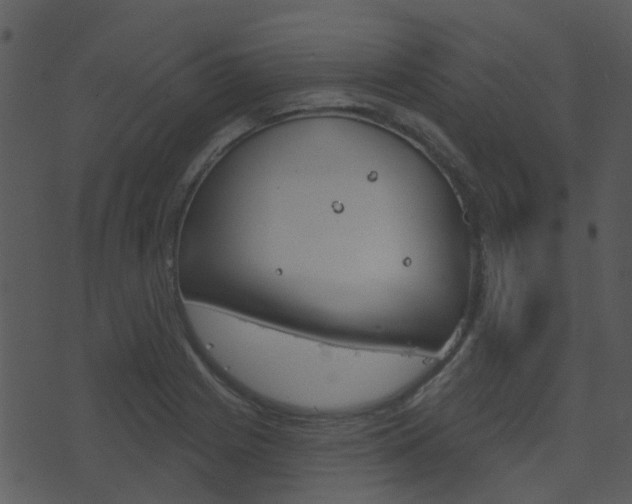 X0000074221225200608250755