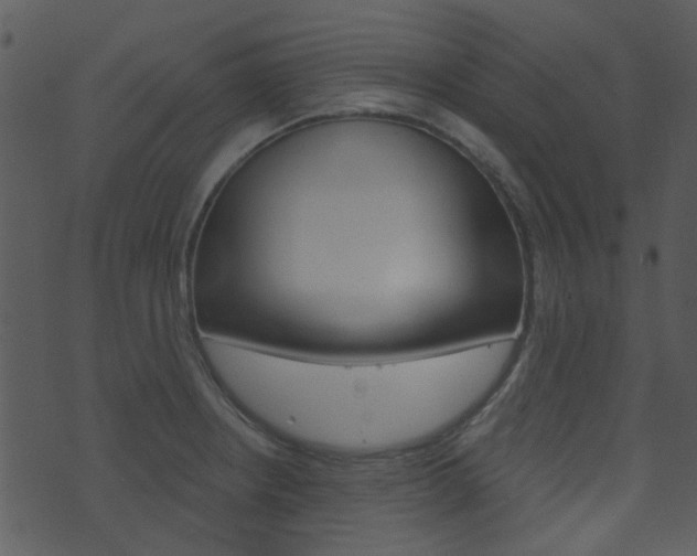 X0000074221234200608250755