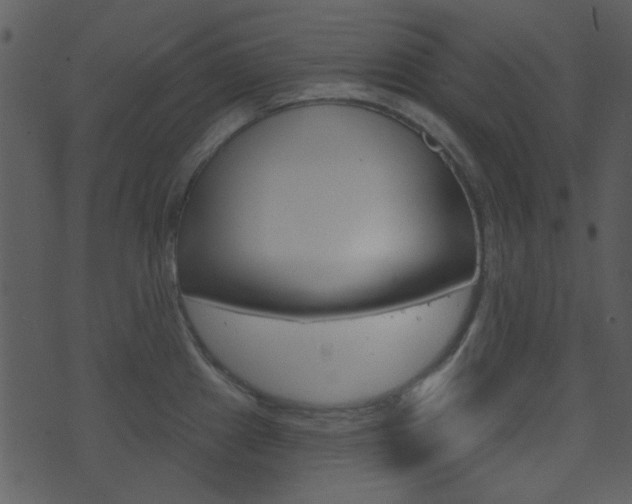 X0000074221241200608250755