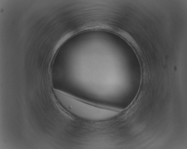 X0000074221242200608250755