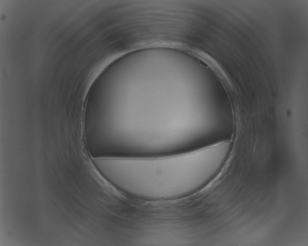 X0000074221244200608250755