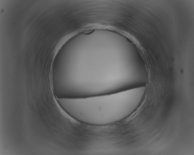 X0000074221247200608250755