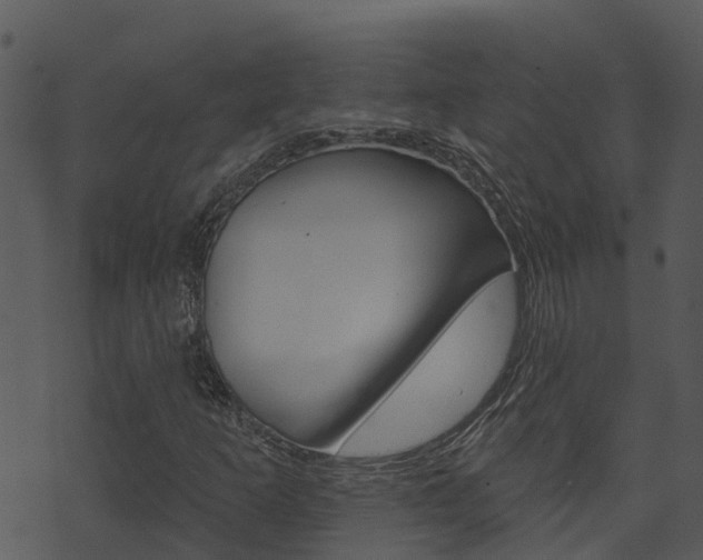 X0000074221253200608250754