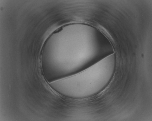 X0000074221292200608250754