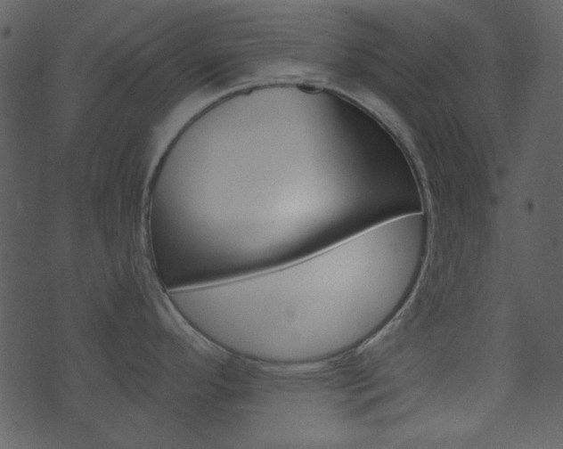 X0000074221296200608250754