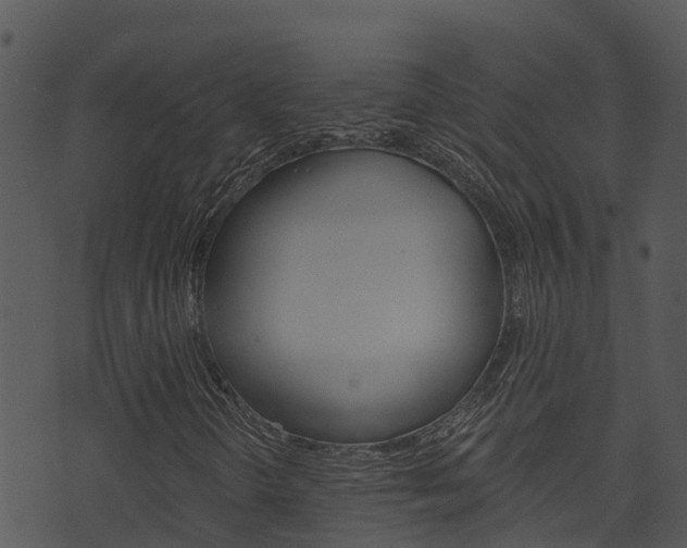 X0000074221298200608250753