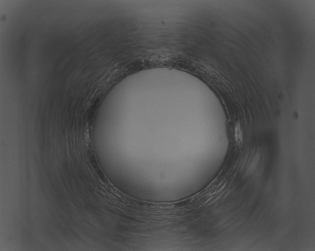 X0000074221299200608250753