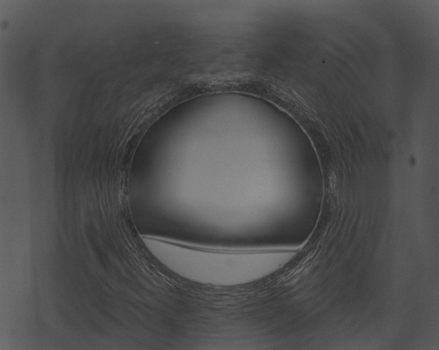 X0000074221300200608250753