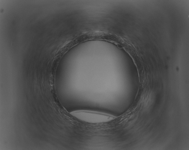 X0000074221301200608250753