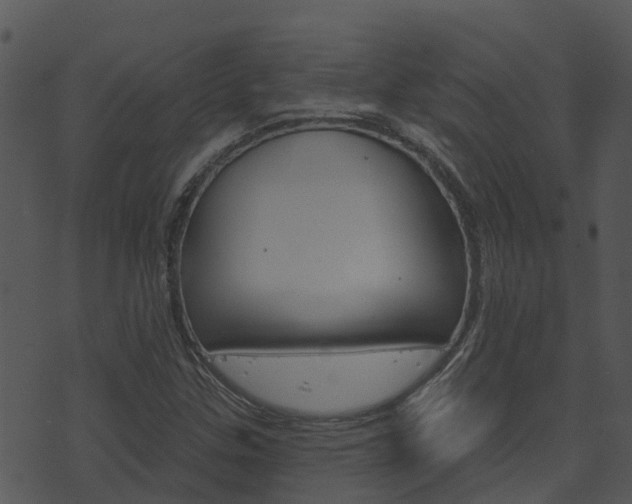 X0000074221307200608250753