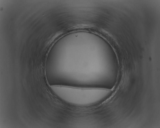 X0000074221313200608250753